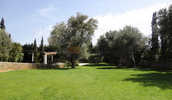 Κήπος - Garden